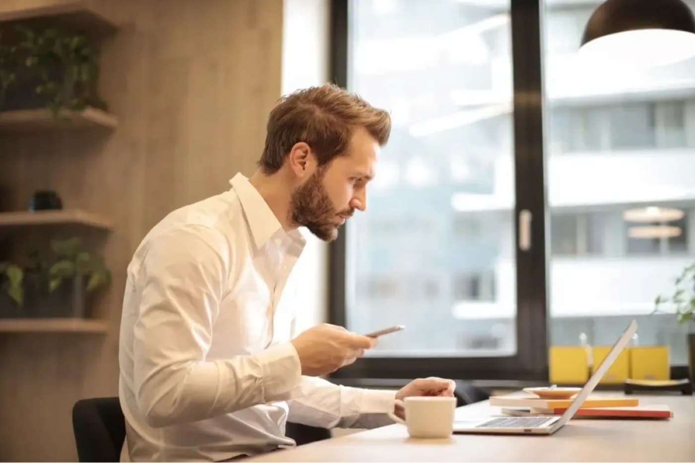 Understanding Tax Scams