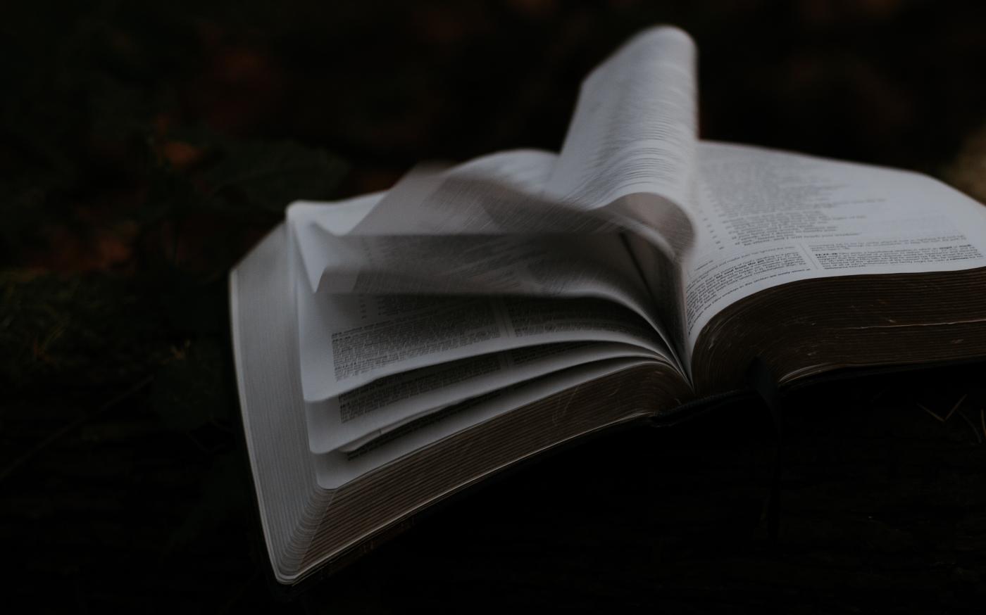 opened book by Priscilla Du Preez 🇨🇦 courtesy of Unsplash.