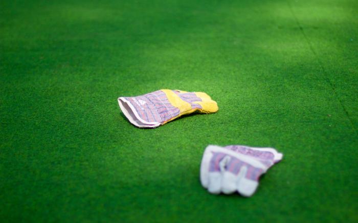 pair of purple-and-white gloves on green grass lawn by Mihály Köles courtesy of Unsplash.