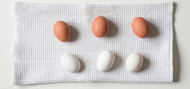 six white and brown eggs on white towel by NordWood Themes courtesy of Unsplash.
